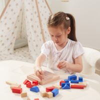 3D Montessori medinių galvosūkių rinkinys