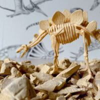 Dinozaurų skeleto archeologiniai kasinėjimai – dinozauras