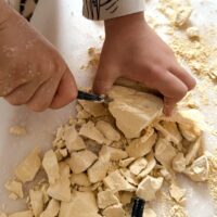 Dinozaurų skeleto archeologiniai kasinėjimai – dinozauras
