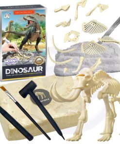 Kūrybinis dinozaurų skeleto rinkinys