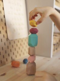 6in1 Montessori žaislų rinkinys