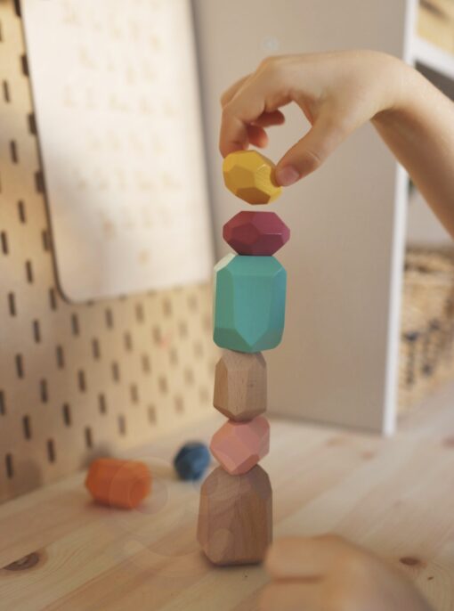 6in1 Montessori žaislų rinkinys