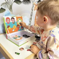 TOOKY TOY medinis dėlionės magnetinė dėžutė