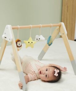 VIGA PolarB Baby Gym stovas kūdikiams