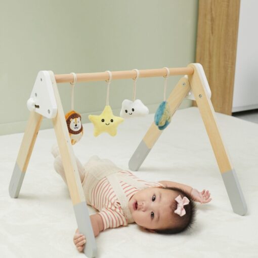 VIGA PolarB Baby Gym stovas kūdikiams