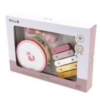 VIGA PolarB muzikos instrumentų rinkinys
