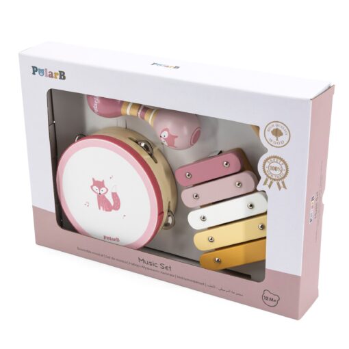 VIGA PolarB muzikos instrumentų rinkinys