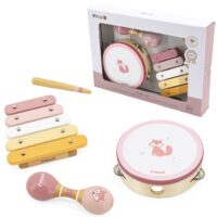VIGA PolarB muzikos instrumentų rinkinys