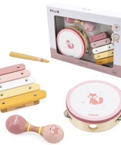 VIGA PolarB muzikos instrumentų rinkinys
