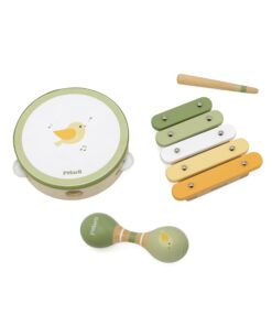 VIGA PolarB muzikos instrumentų rinkinys su paukščiu