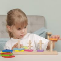 VIGA mediniai Montessori formos rūšiavimo blokai