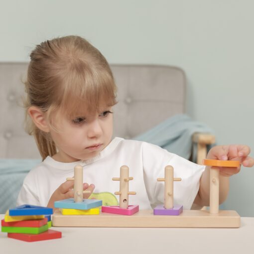 VIGA mediniai Montessori formos rūšiavimo blokai