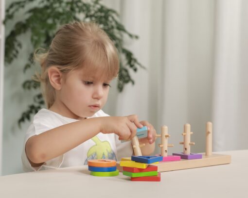 VIGA mediniai Montessori formos rūšiavimo blokai