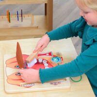 MASTERKIDZ Mokymasis sveikos burnos higienos ant šuns pavyzdys – Montessori švietimo sienos lenta