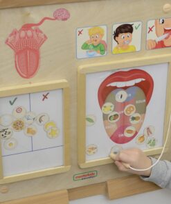 MASTERKIDZ Montessori skonio pojūčio ugdymo taryba