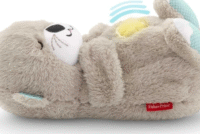 FISHER PRICE migdukas udrytė - Image 3