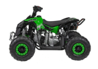Keturratis su vidaus degimo varikliu RENEGADE HIPERFECT 110CC žalias - Image 2