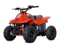 KETURRATIS ATV 125 DEGIMO VARIKLIS BIG FOOT - Image 2