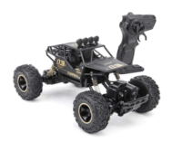 Didelis nuotolinių būdu valdomas RC automobilis 4X4