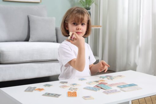 VIGA PolarB mediniai Montessori skaitiniai galvosūkiai