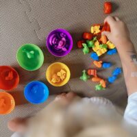 WOOPIE Montessori edukacinis žaidimas Spalvų rūšiuoklė Jūros šalis 64 vnt.
