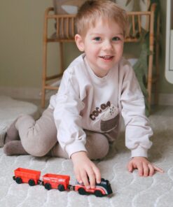 WOOPIE Electric Queue Set Locomotive Track Farm Animals 70 vnt.