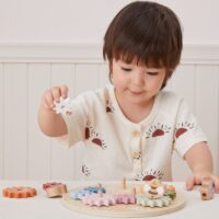 VIGA PolarB mediniai spalvingi Montessori pavarų ratai