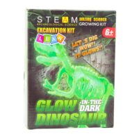Edukacinis archeologijos rinkinys „Glowing Dinosaur Skeleton“