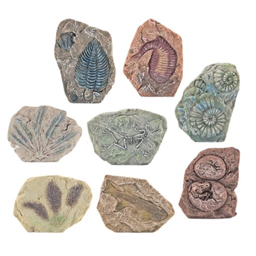 Edukacinis paleontologijos kasinėjimų rinkinys – gipsinis blokas ir įrankiai