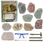 Edukacinis paleontologijos kasinėjimų rinkinys – gipsinis blokas ir įrankiai