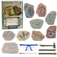 Edukacinis paleontologijos kasinėjimų rinkinys – gipsinis blokas ir įrankiai