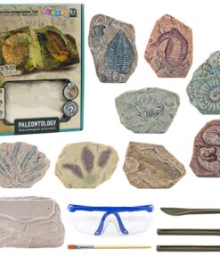 Edukacinis paleontologijos kasinėjimų rinkinys – gipsinis blokas ir įrankiai