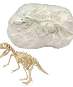 Mažojo paleontologo rinkinys – išsikask savo dinozauro skeletą iš gipso bloko