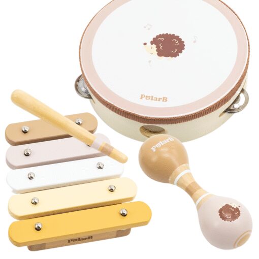 VIGA Polarb Muzikos instrumentų rinkinys su ežiuku