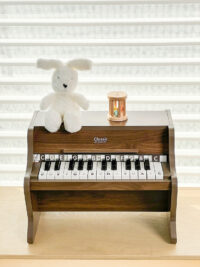 Classic World medinis pianinas vaikams – 18 klavišų muzikinė kelionė