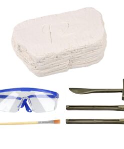 Edukacinis kaukolės kasinėjimų archeologijos rinkinys vaikams