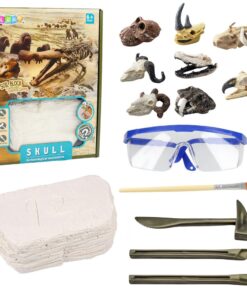 Edukacinis kaukolės kasinėjimų archeologijos rinkinys vaikams