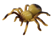 Nuotoliniu pultu valdomas tarantulas