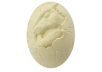 Dino kiaušinio kasinėjimo rinkinys XXL