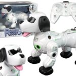 Interaktyvus nuotoliniu būdu valdomas robotas–šuniukas