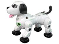 Interaktyvus nuotoliniu būdu valdomas robotas–šuniukas