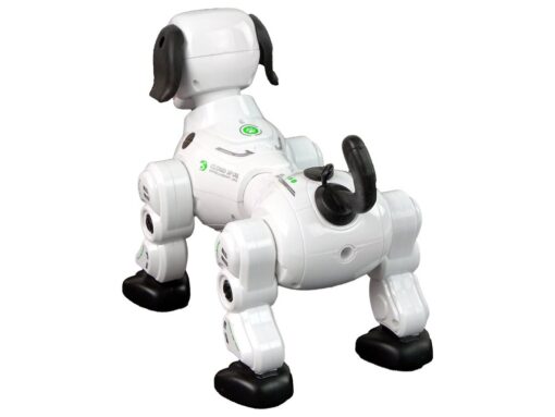 Interaktyvus nuotoliniu būdu valdomas robotas–šuniukas