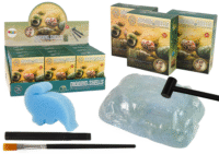 Kriauklių kasinėjimo rinkinys – 3 modeliai