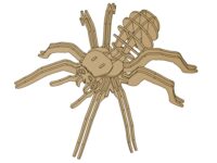Medinė 3D voro dėlionė 31 elementas