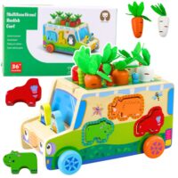 Medinis edukacinis automobilis rūšiuoklis