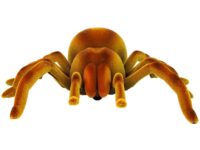 Nuotoliniu būdu valdoma tarantula