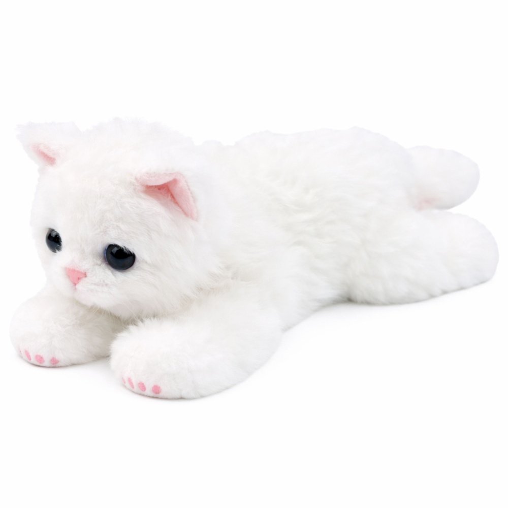 Pliušinis baltas katinas Pliušinis baltas katinas