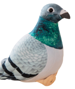 Pliušinis pilkas kuoduotasis balandis 20 cm