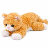 Pliušinis rusvas (ginger) katinas