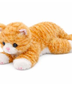 Pliušinis rusvas (ginger) katinas